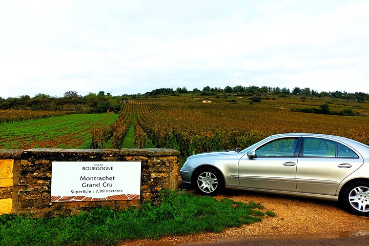 Private tour in Burgundy with your professional guide!