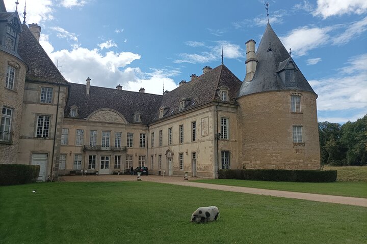 Private tour in Burgundy with your professional guide!