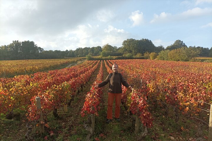 Private tour in Burgundy with your professional guide!