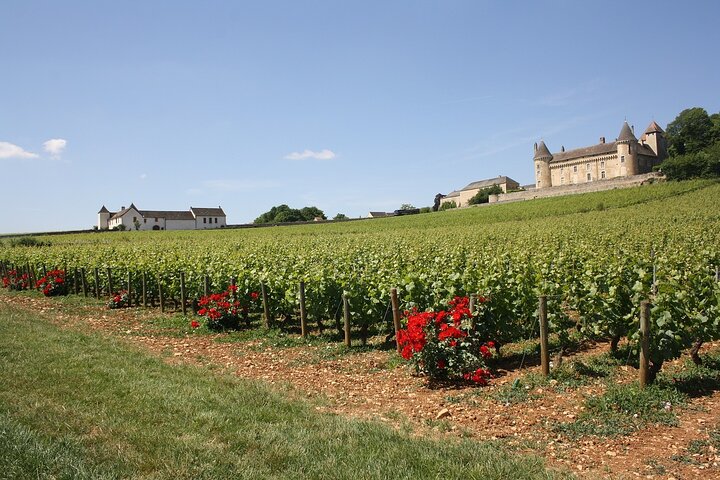 Private tour in Burgundy with your professional guide!