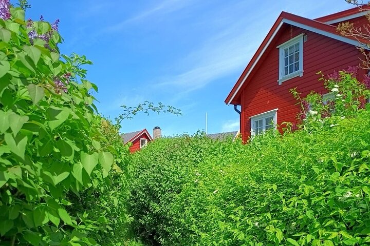 Oslofjord Island Hopping Tour