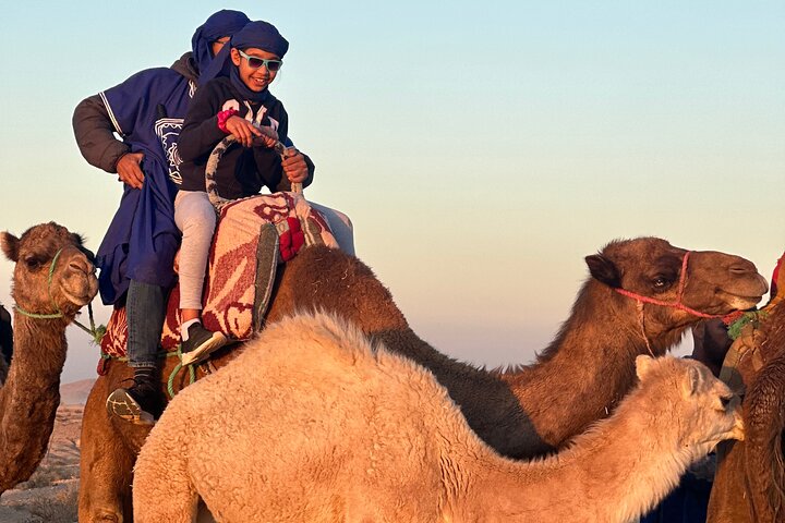 Camel Ride at Sunrise with Breakfast in Agafay Desert