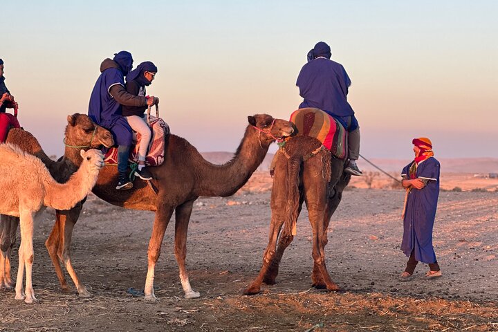 Camel Ride at Sunrise with Breakfast in Agafay Desert