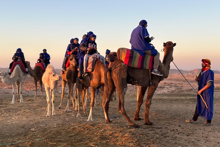 Camel Ride at Sunrise with Breakfast in Agafay Desert