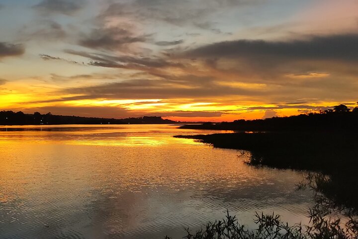 Half Day Amazon River Tour - Fishing, Sunset and Night Tour