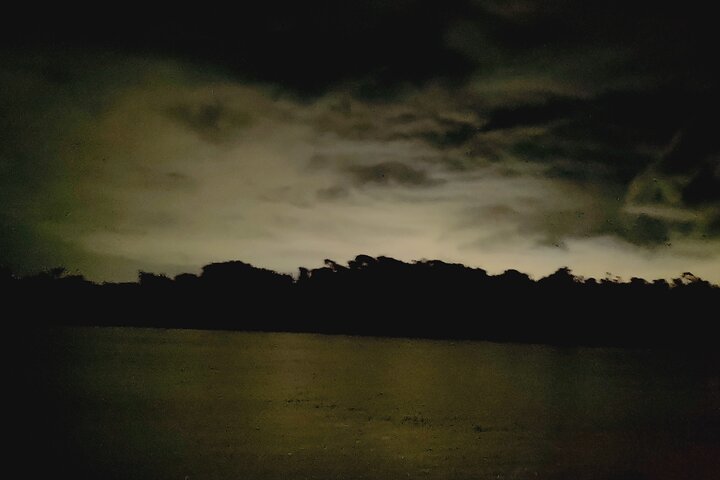 Half Day Amazon River Tour - Fishing, Sunset and Night Tour