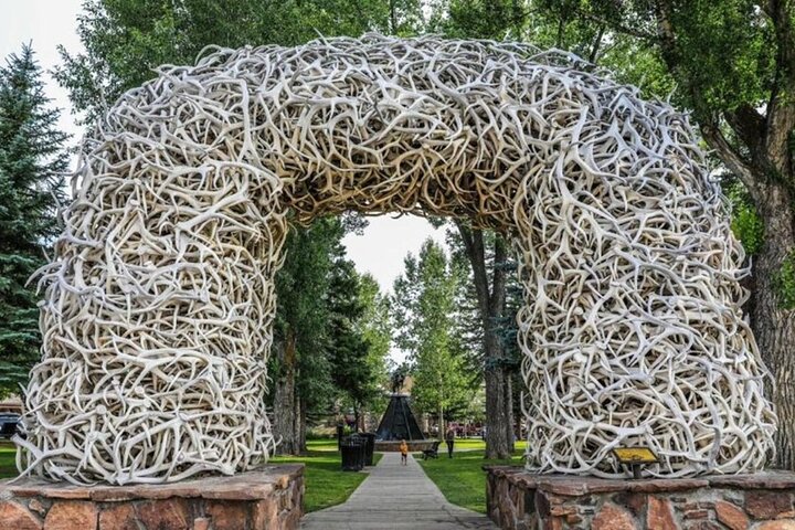 From Bozeman InDepth Yellowstone and Teton Tour 3 Day and 2 Night
