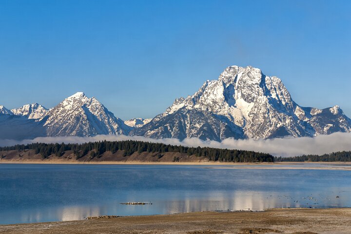 From Bozeman Classic Yellowstone and Teton Tour 2 Day and 1 Night