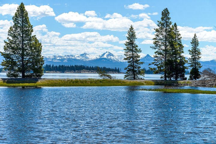 From Bozeman Express Yellowstone Full Day Tour