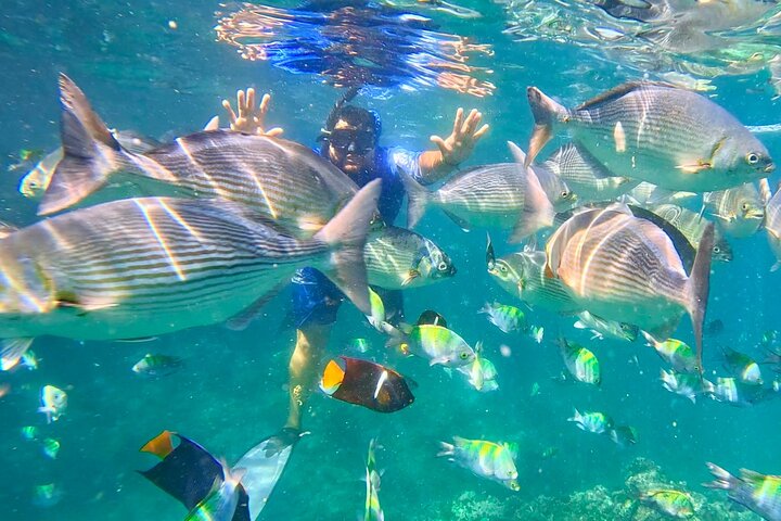 Los Arcos Snorkeling Adventure, Colomitos & Las Animas Beach