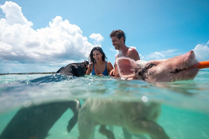Nassau: 3 islands Pigs,Turtles,Snorkel & Beach Club with lunch