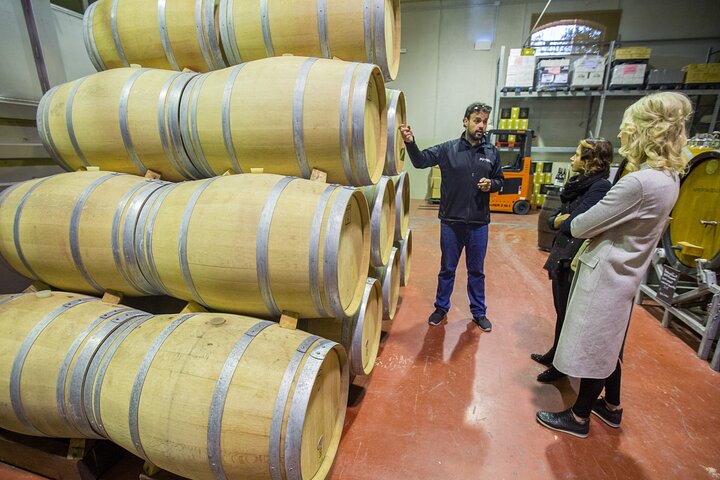 Alicante Winery Small Group Tour with Wine Tasting