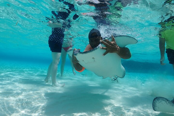 Starfish Point, Stingray City & Coral Garden (3-STOP Adventure)