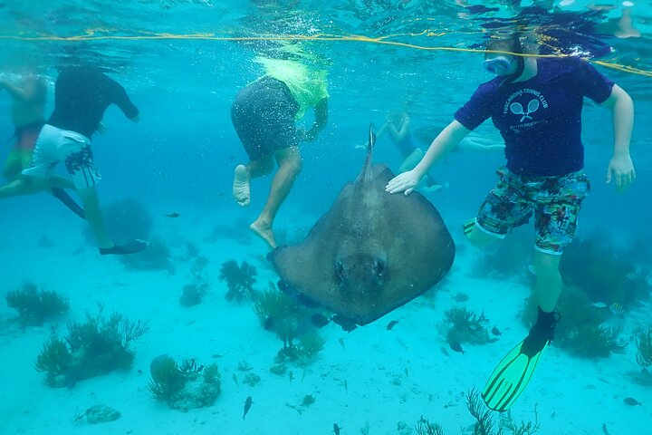 Starfish Point, Stingray City & Coral Garden (3-STOP Adventure)