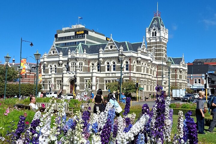 Private Dunedin & Otago Peninsula Tours Up to 4 people