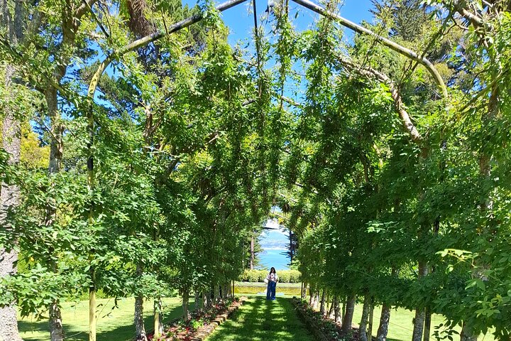 Private Dunedin & Otago Peninsula Tours Up to 4 people