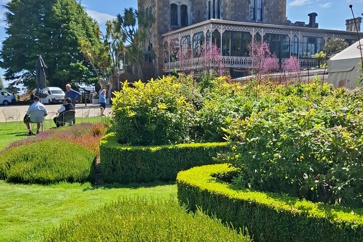 Private Dunedin & Otago Peninsula Tours Up to 4 people