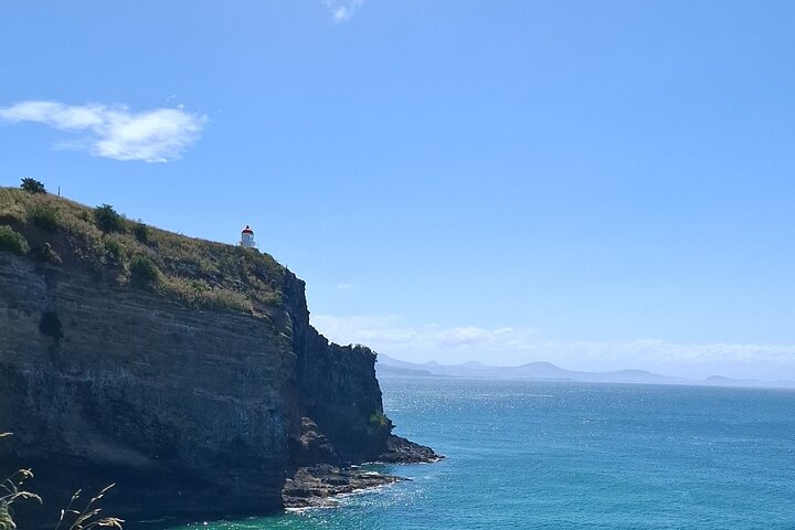 Private Dunedin & Otago Peninsula Tours Up to 4 people