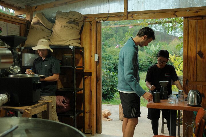 Coffee Farm Tour with Roasting & Tasting Workshop - Da Lat