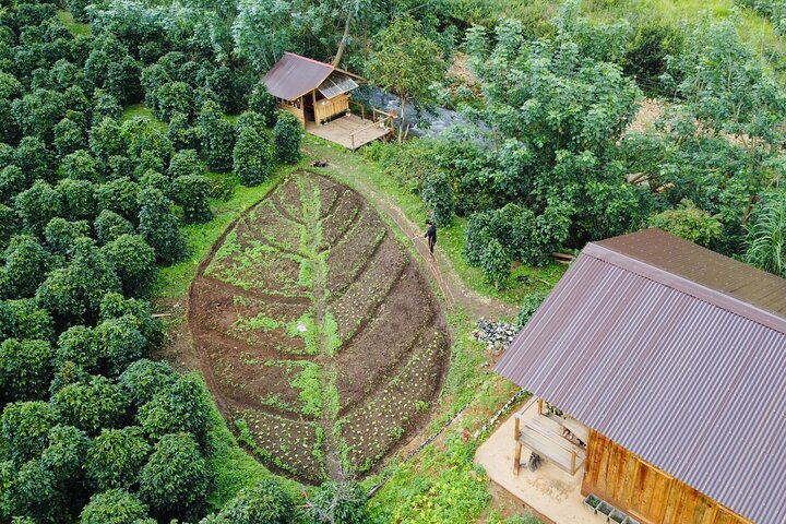 Coffee Farm Tour with Roasting & Tasting Workshop - Da Lat