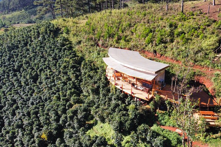 Coffee Farm Tour with Roasting & Tasting Workshop - Da Lat