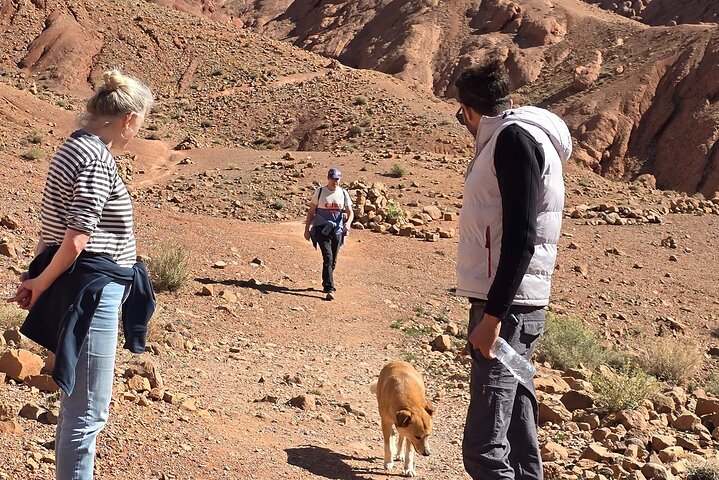 Dades Gorge-Monkey Finger's Canyon Hike in Boumalne Dades