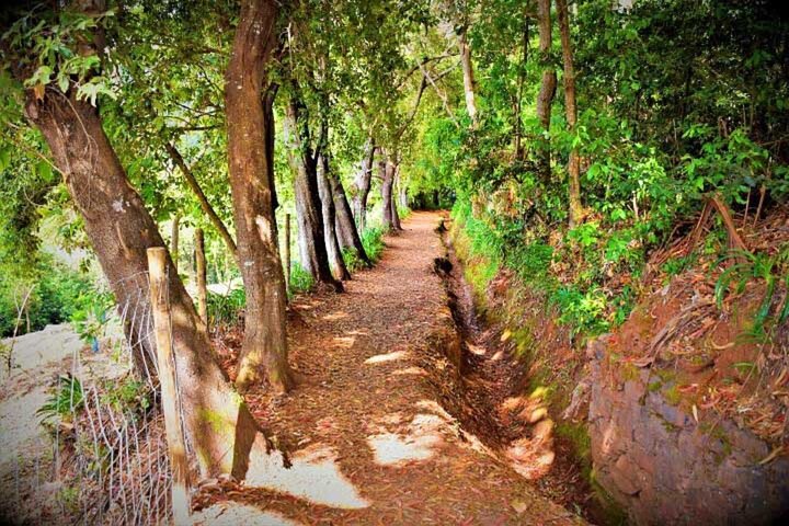 Atlas Mountains Tour and Paradise Valley with Berber Breakfast