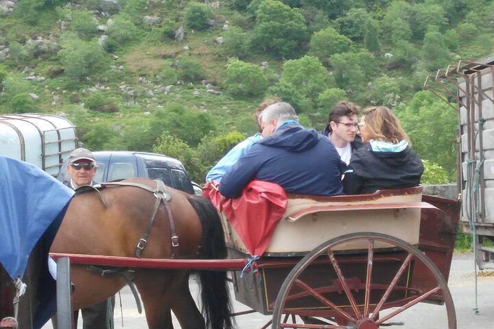 Private Tour of Killarney Sites and the Ring