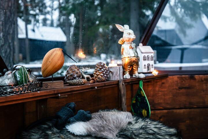 Private Expedition: INTO THE WILD Safari & Lunch in Glass Igloo