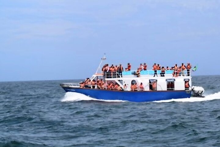 Cape Town Whale Watching Activity in Hermanus