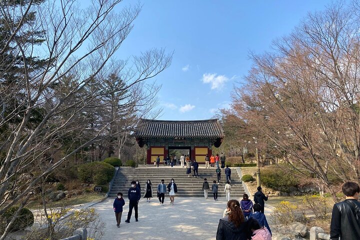 Guided Car Tour in Geyongju with a Local Guide