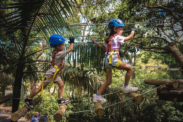 Coffs Harbour Climbing & Junior Ropes Course