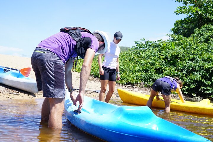 Guided Kayaking Tour of the Mitan Pond and its Mangrove