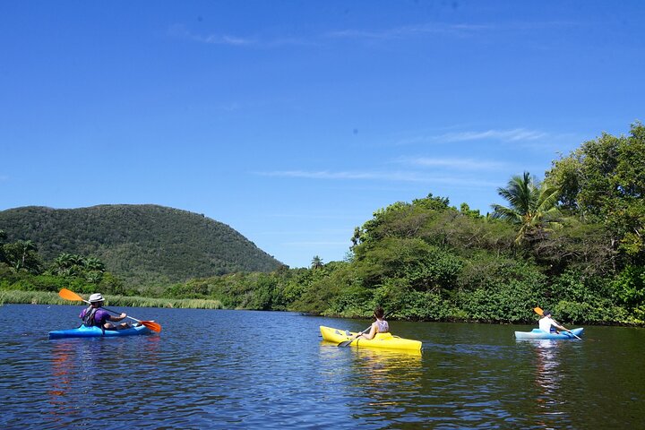 Guided Kayaking Tour of the Mitan Pond and its Mangrove