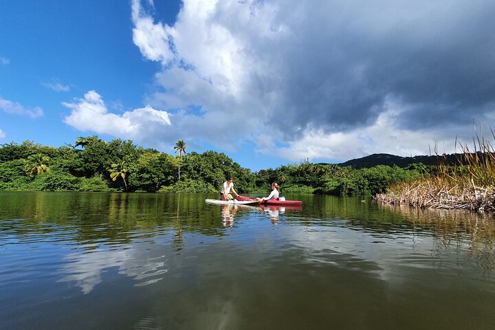 Rental Kayaking or Stand-up Paddle 2H