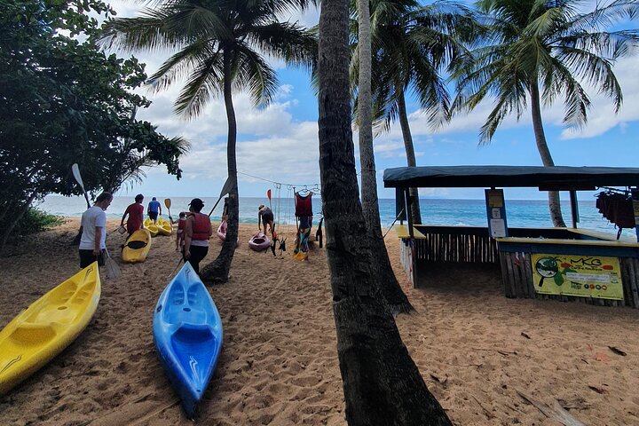 Rental Kayaking or Stand-up Paddle 2H