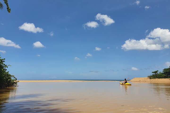 Rental Kayaking or Stand-up Paddle 2H