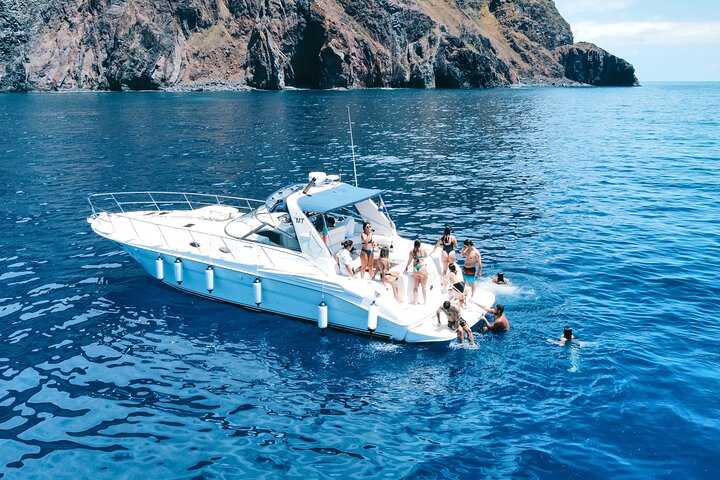 Whale and Dolphin Watching Tour in Madeira