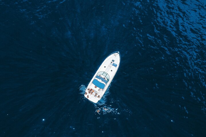 Whale and Dolphin Watching Tour in Madeira
