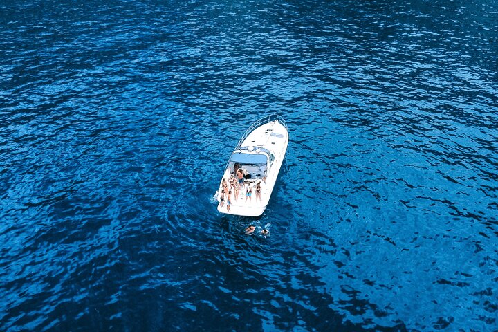 Whale and Dolphin Watching Tour in Madeira