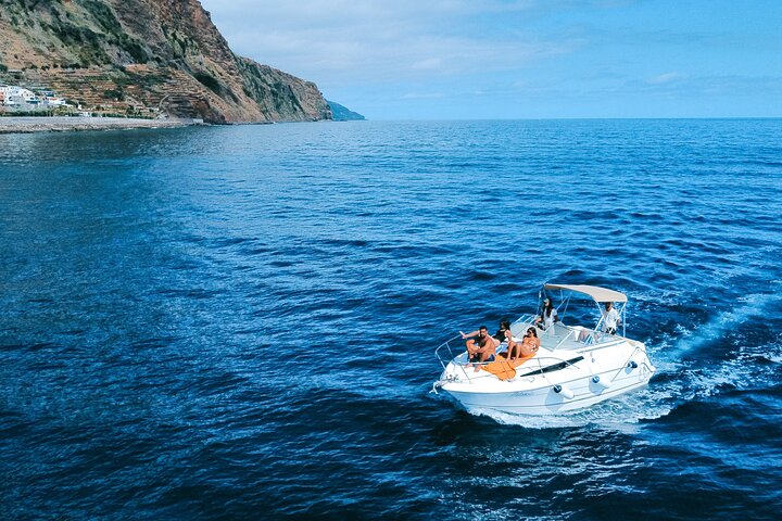 Whale and Dolphin Watching Tour in Madeira