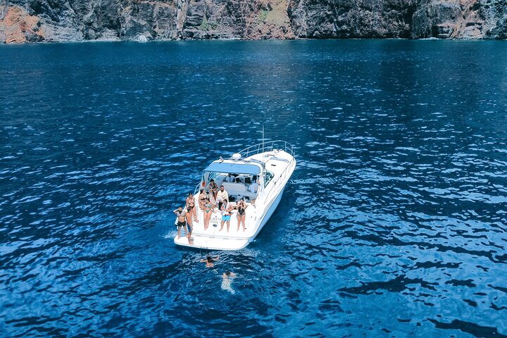 Whale and Dolphin Watching Tour in Madeira
