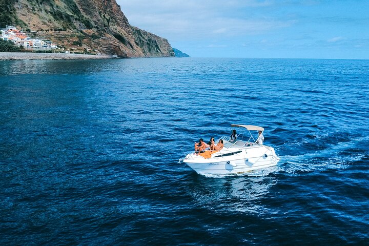 Whale and Dolphin Watching Tour in Madeira