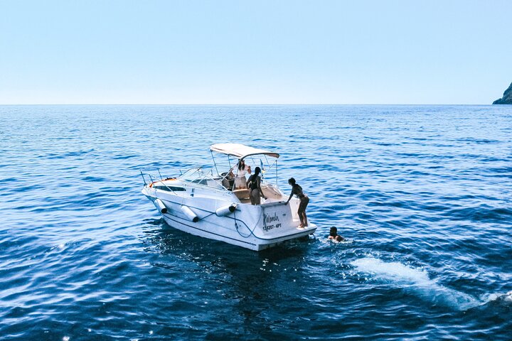 Whale and Dolphin Watching Tour in Madeira
