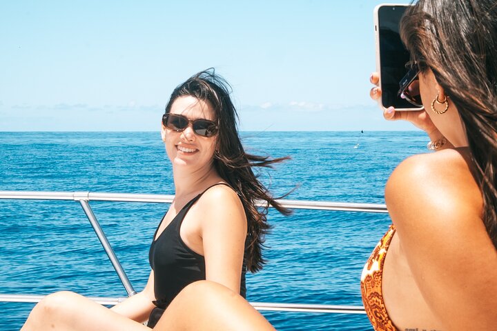Whale and Dolphin Watching Tour in Madeira