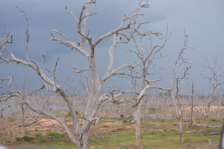 Yala National Park Full Day Safari Tour