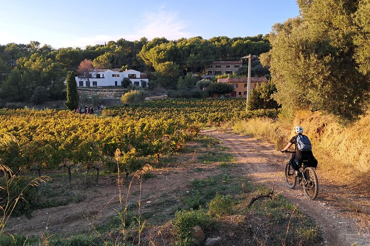 Electric Mountain Bike Rental with Virtual Guide in Cassis