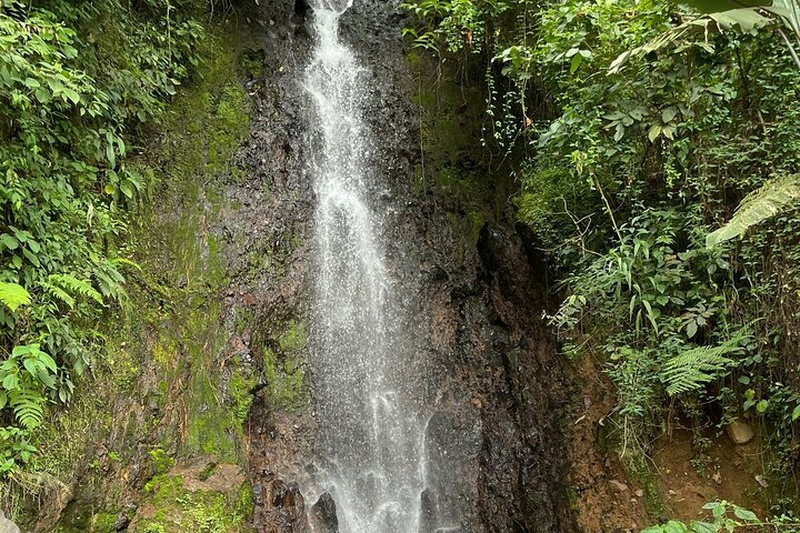 Panoramic Tour