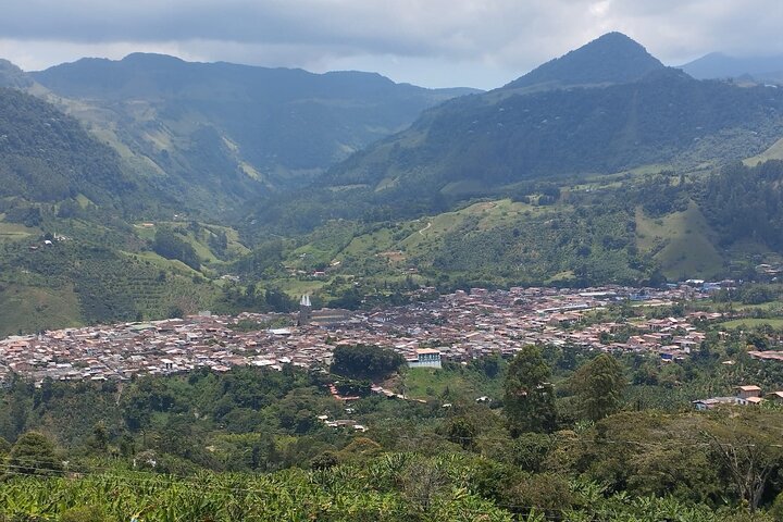 Panoramic Tour