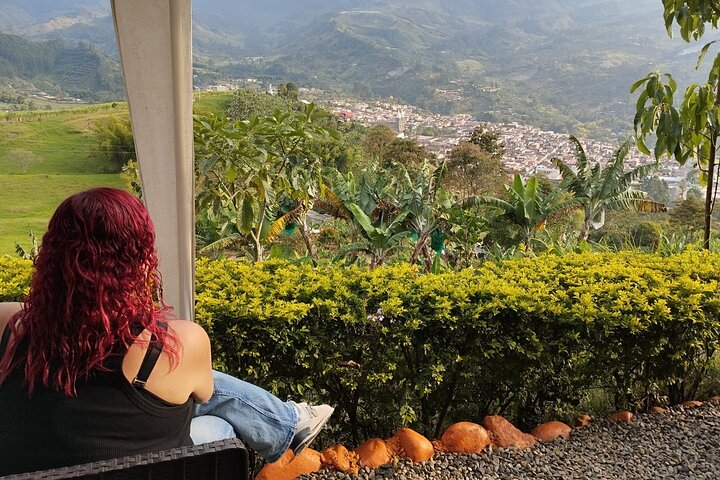 Panoramic Tour
